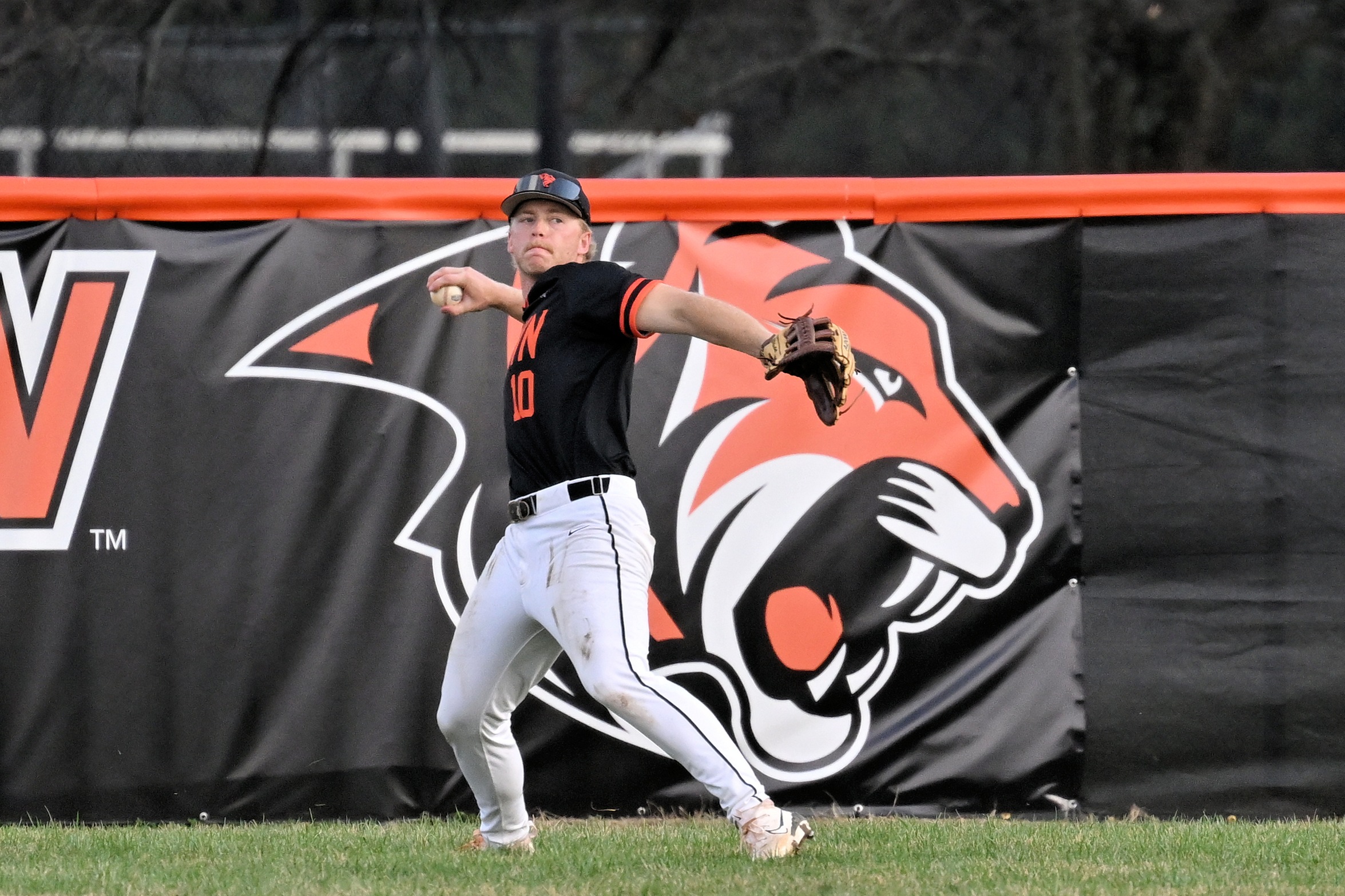 Phoenix Sweep Tigers