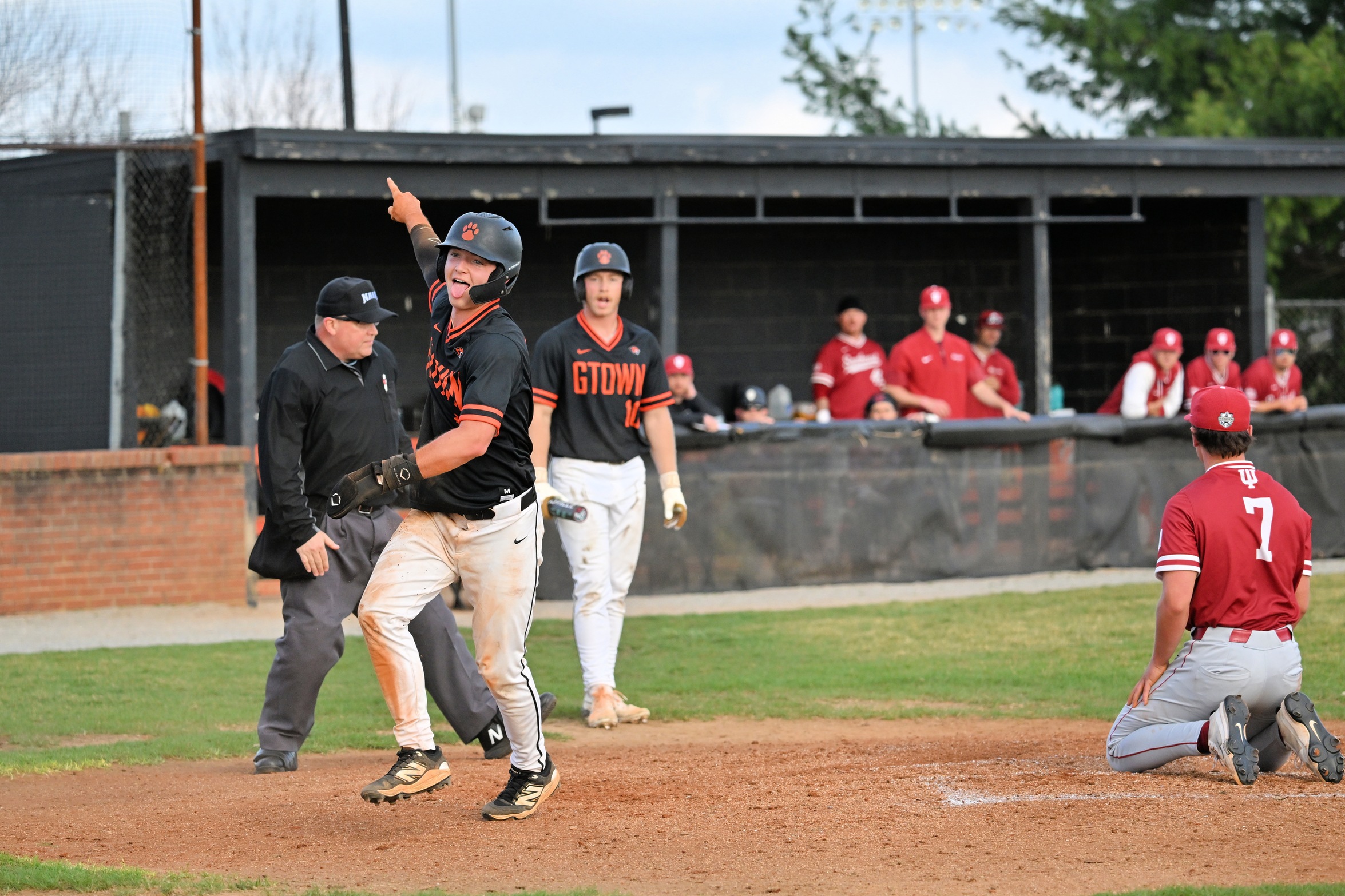 Tigers Split with (RV) Mighty Oaks