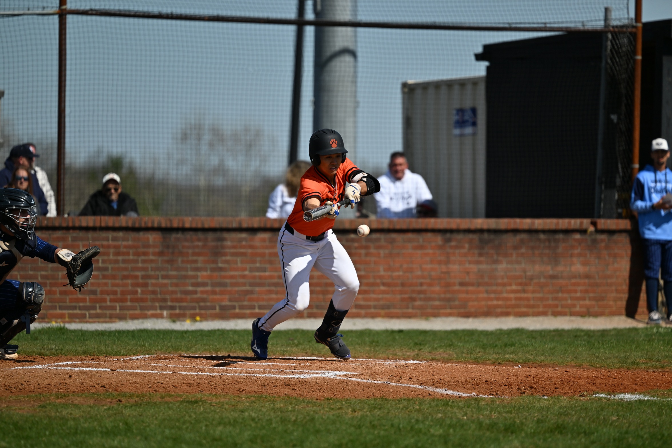 Bears Close Out Tigers in Ninth