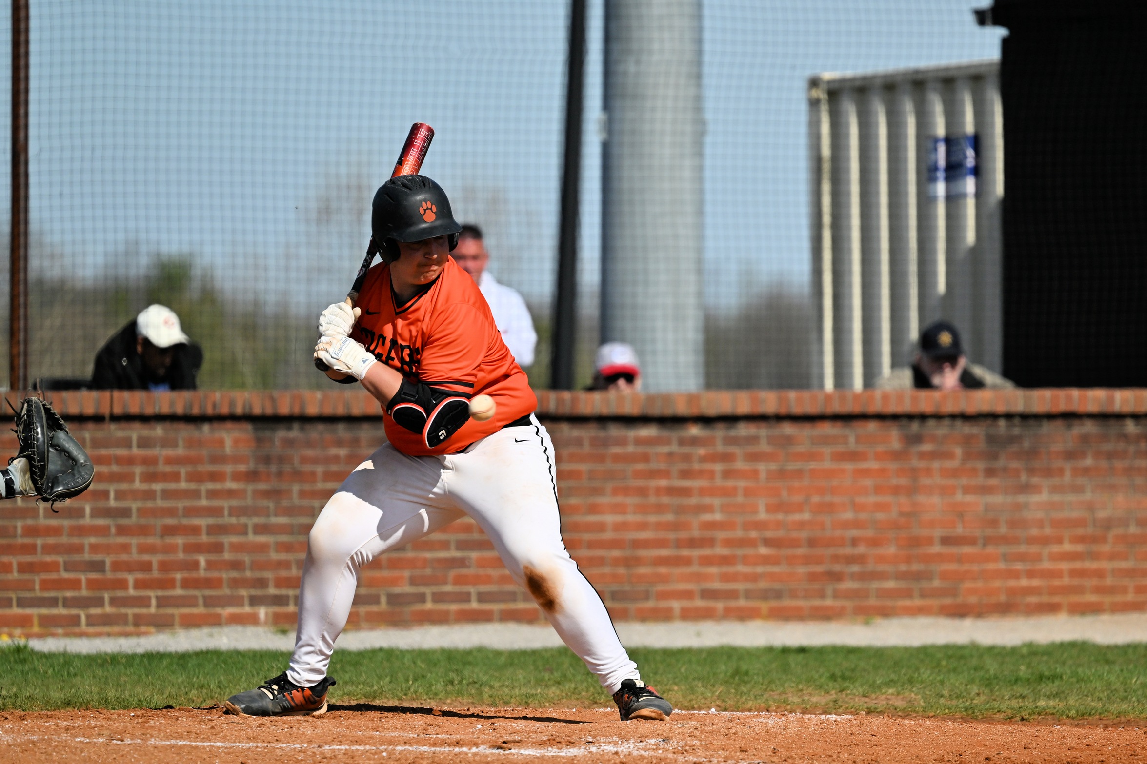 Wildcats Stop Tigers' Hot Bats