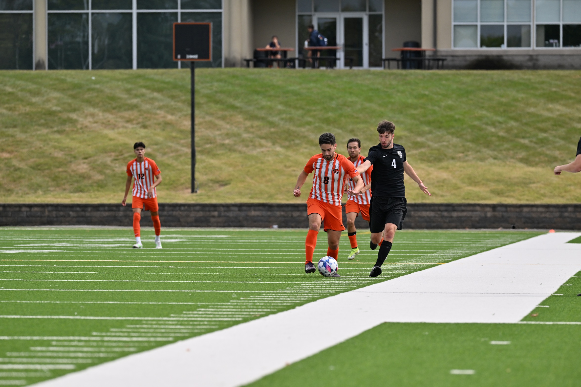 Tigers Come up Just Short Against Bears