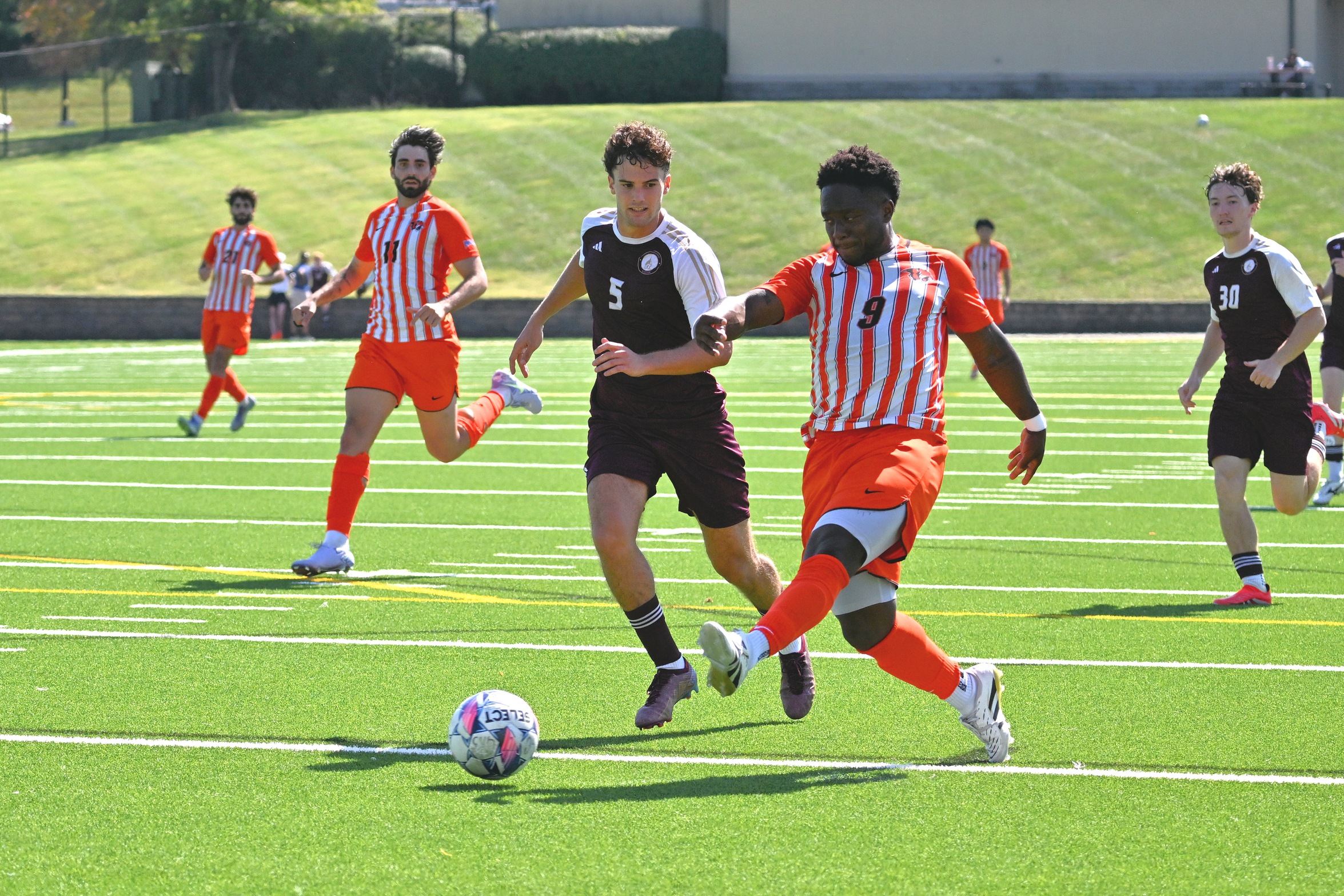 Tigers Downed by Campbellsville