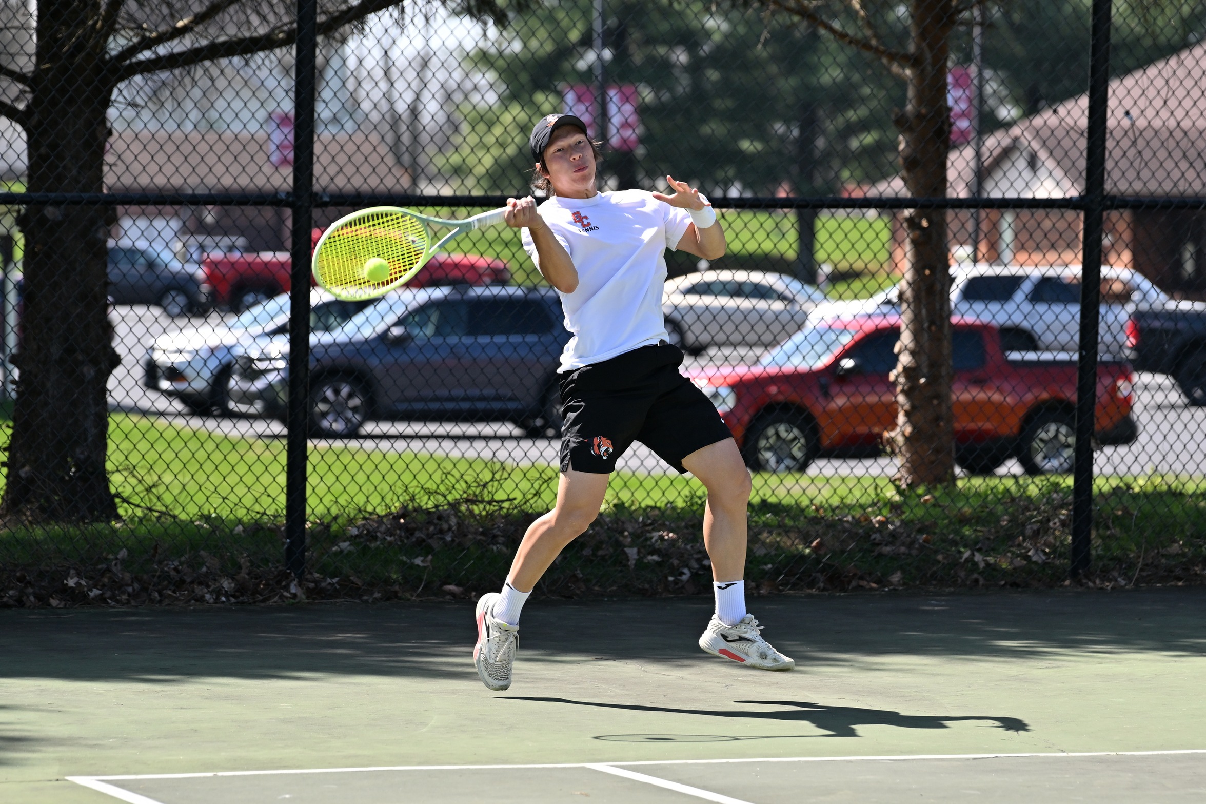Tigers Split with Freed-Hardeman and No. 6 Cumberlands