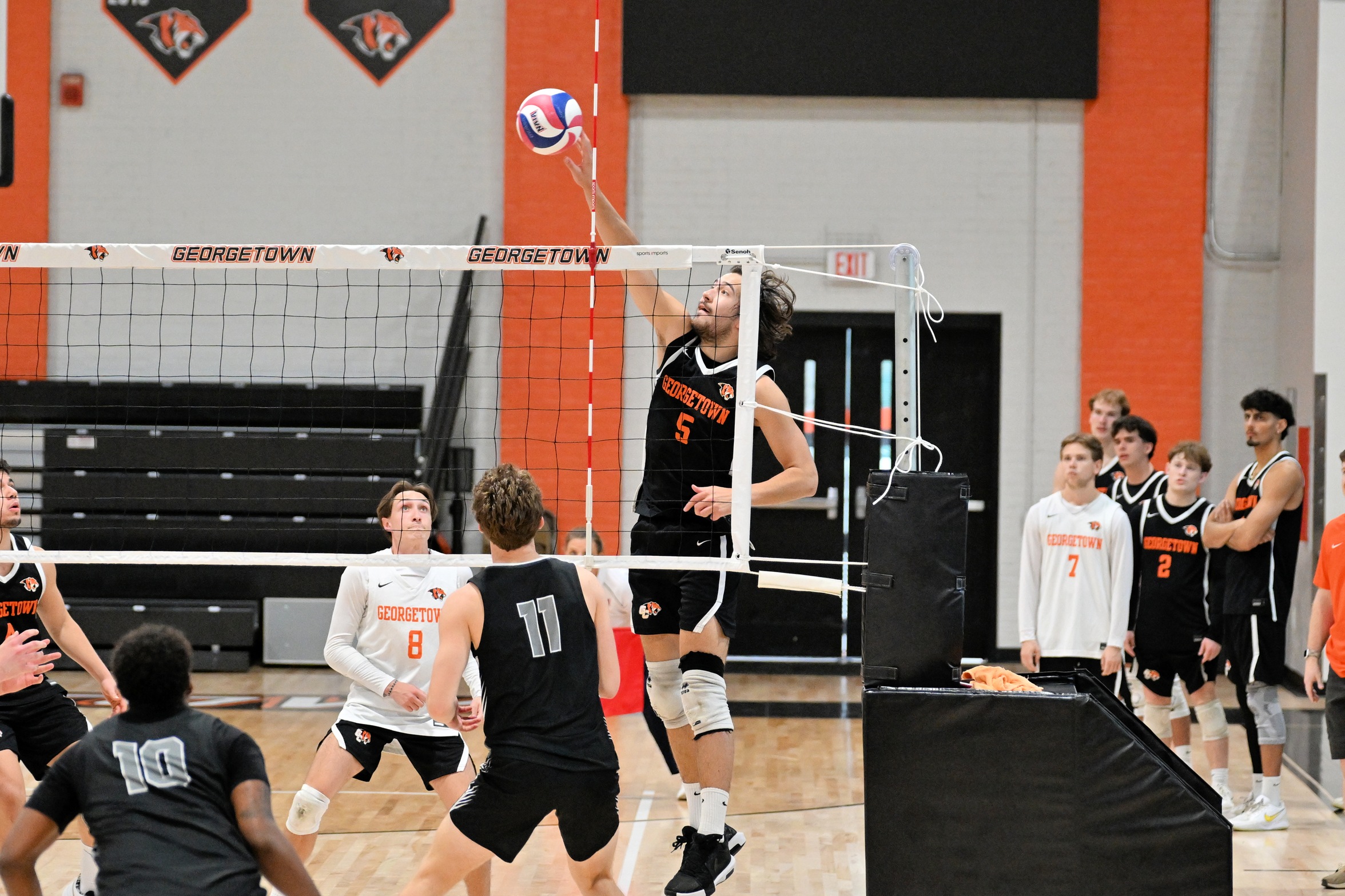 Bak's 29 Kills Lifts #13 Tigers Past (RV) Phoenix in Four