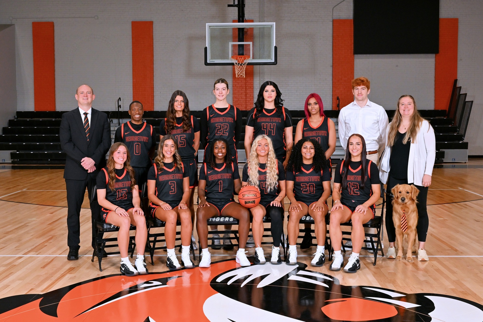 Five Tigers Land on MSC All-Academic Team
