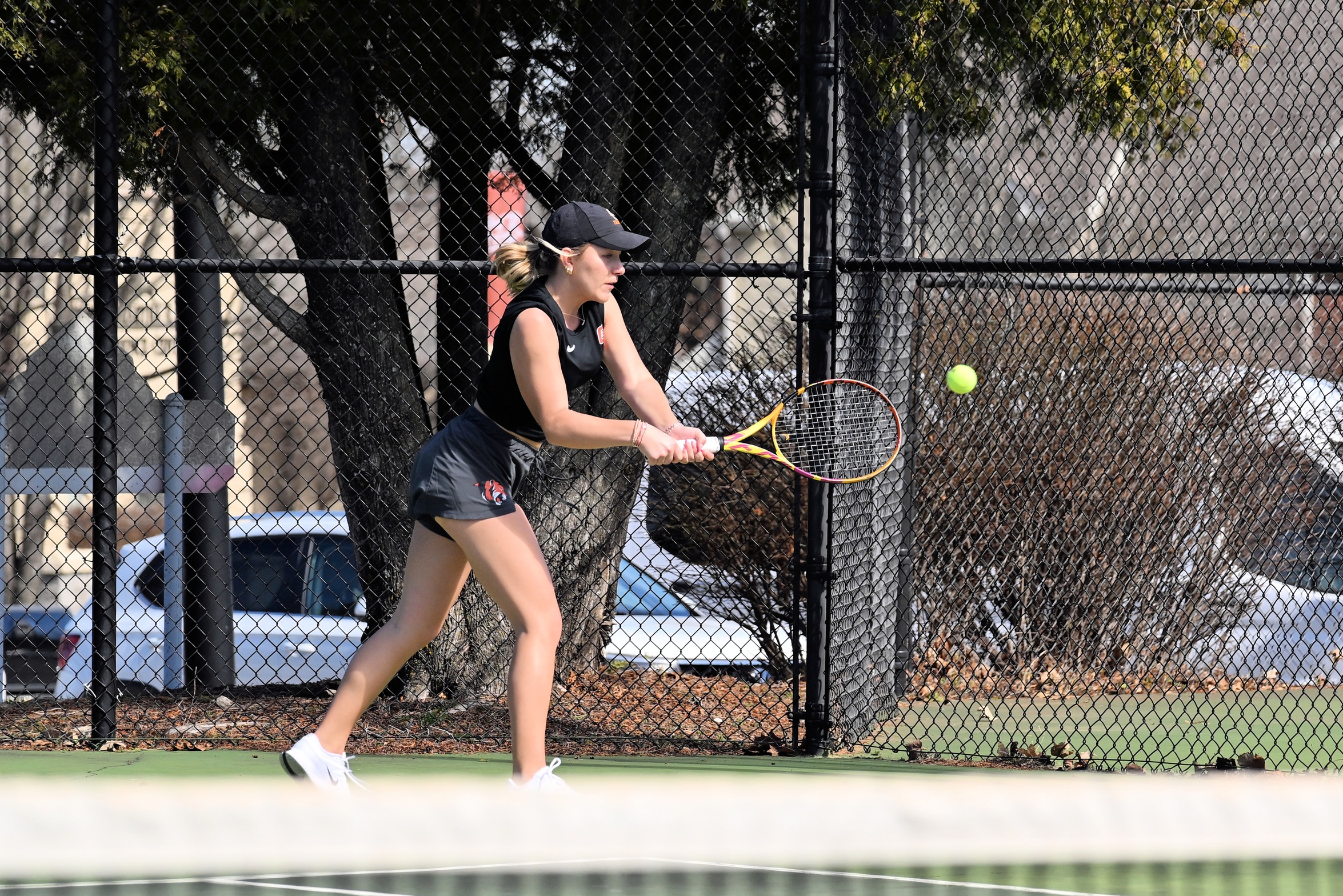 Tigers Fall at Home to Freed-Hardeman, Cumberlands