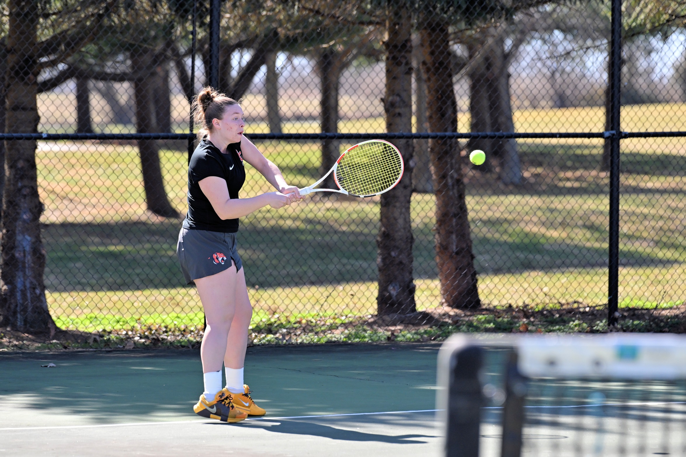 No. 2 Cumberlands Knocks Out No. 7 Tigers In MSC Quarterfinals