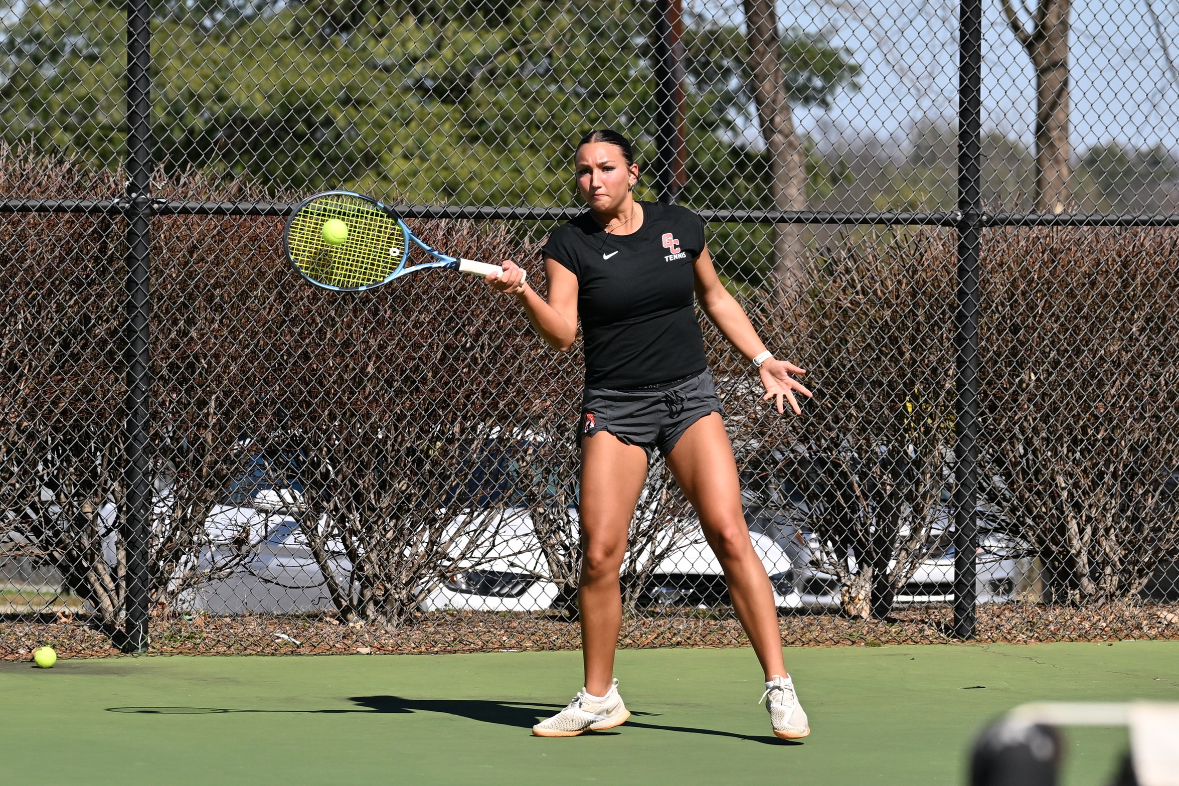 Tigers Host Three Home Matches
